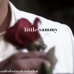 Little Sammy