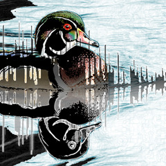 When Can What Now Has Be