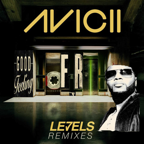 Avicii vs Flo Rida (ba5 Booster remix)