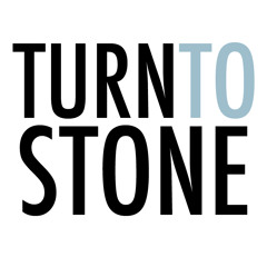 Turn To Stone (Shani Davies)