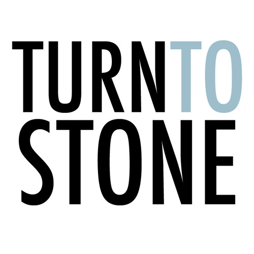 Turn To Stone (Shani Davies)