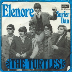 The Turtles - Elenore (KERN Cover)