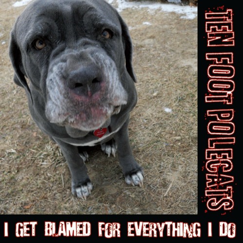 "See What My Buddy Done" - Ten Foot Polecats - I Get Blamed For Everything I Do