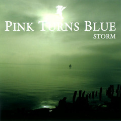 Pink Turns Blue - Run From Me