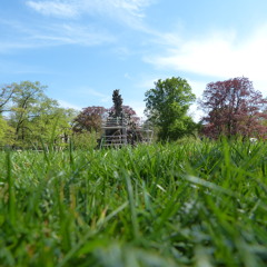 MACRIMA - Frühlingsgefühle