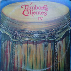 B5 Palma Sola