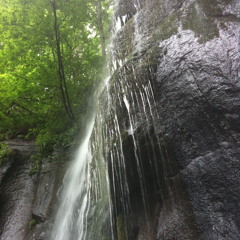 music on a long thin gorge