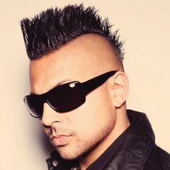 Sean Paul - She Doesn't Mind [Andi Nova Remix] Freedownload