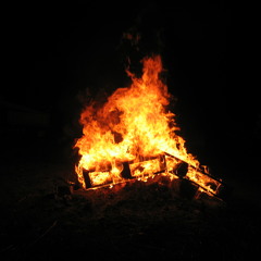 Caveman420/Solotom : Galaxy gardenLIVEtake