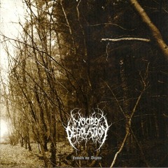 When the Frost Comes Falling Down by Woods of Desolation