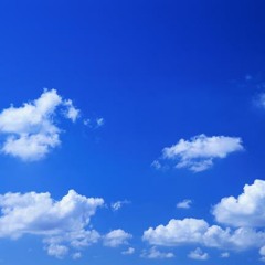 Flown Away(FREE DOWNLOAD)