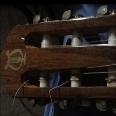 Lolo at Jose Felix Ribas