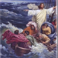 Till the storm passes by