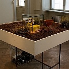 David Tudor i en potteplante
