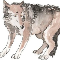 Still Dawg - Honeycomb (Animal Collective cover)