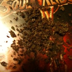 Bryce Yung-moscato(unreleased exclusive)