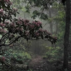 Thome Yorke - Hearing Damage