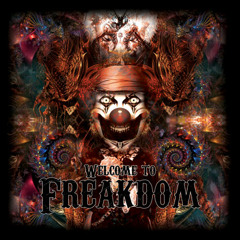 Noise Toys (VA - Welcome to Freakdom *Free Radical Records*)