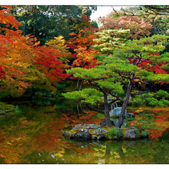Japanese garden