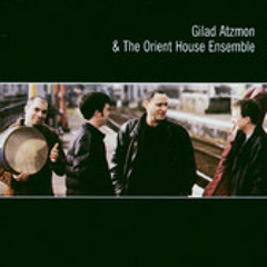 Gilad Atzmon The Orient House Ensemble   Petite Fleur..