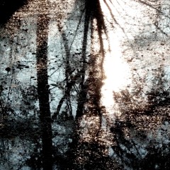 Spring is cold