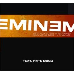 Shake The World (Charles Bradley vs Eminem Mashup)