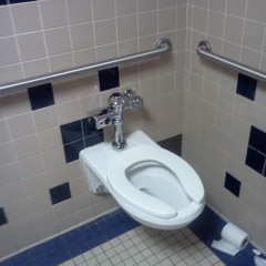 takin a poop at Patchogue-Medford Library