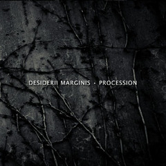 Desiderii Marginis - Come Ruin and Rapture - Excerpt