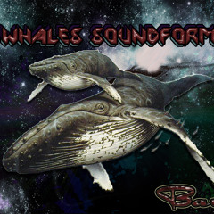 Whales soundform