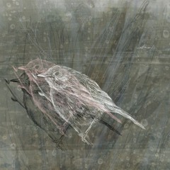 CONTINENTS - WHERE THE SHADE AND I(MASTER)