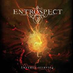 Entrospect - Fallen into an oscillating abyss