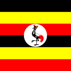 Uganda National Anthem on Bass Guitar