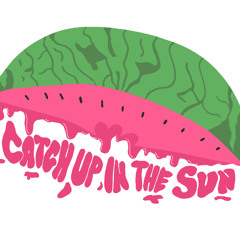 Beach Pigs - "Catch Up In The Sun"