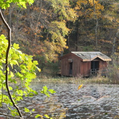The House where nobody Lives