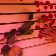 VN00118-20120509-0418