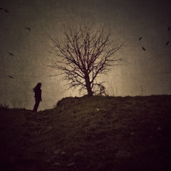 calm and transcendent