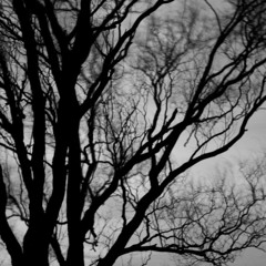 Five Step Path - Dark Lit Dream (Smiles At The Glass Of Dawn // Out Now)