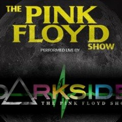 Shine On You Crazy Diamond (Parts 6-9)