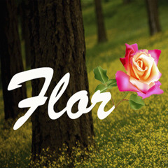 Jorge & Mateus Flor