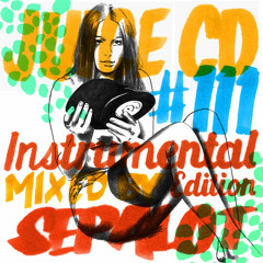 15 - v.raeter - ghostshell_hologram