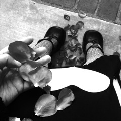 Fade into a black rose