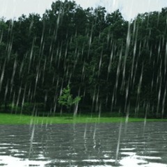Spinusoidal - Weekend Rain