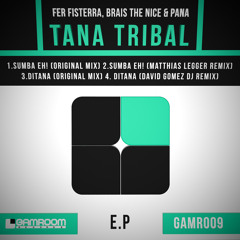 Fer Fisterra, Brais The Nice – Ditana (David Gomez DJ Remix)