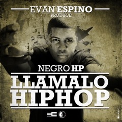 Negro HP - Garata con puño