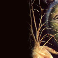 Vipe - A evoluçao (Prod.Kozmik)