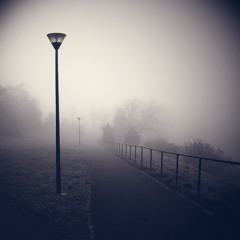 Fog