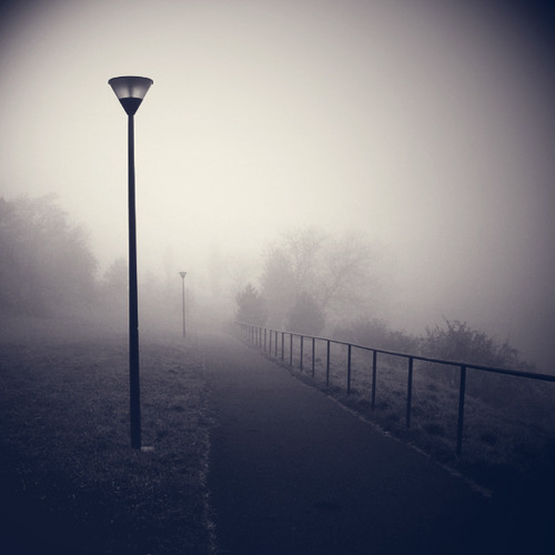 Fog