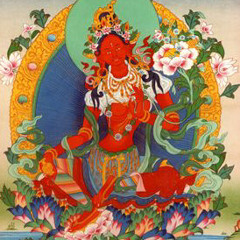 Red Tara