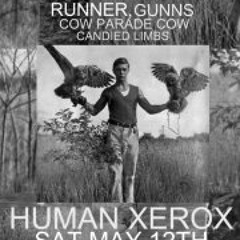 My Own Private (Rabbit Island Re-Imagining)