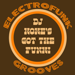 ELECTROFUNK GROOVES - FEB 2012 - PROMO MIX